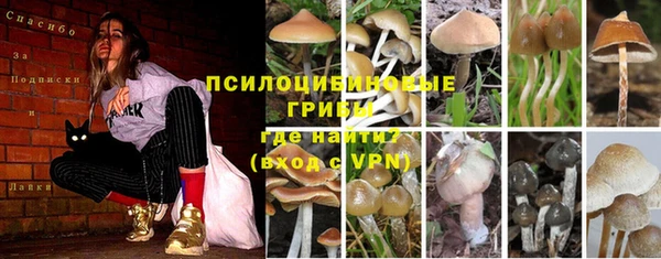 синтетический гашиш Богородск