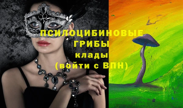 тгк Белокуриха