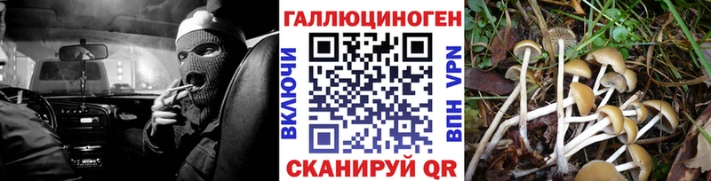 Галлюциногенные грибы Cubensis  Большой Камень 